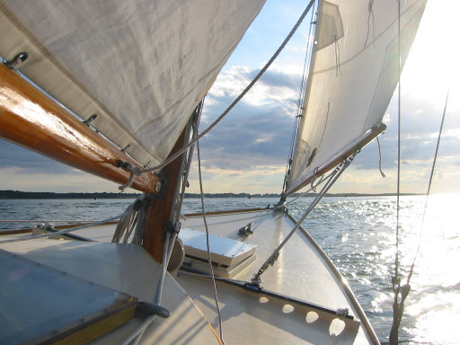 Felicity under sail